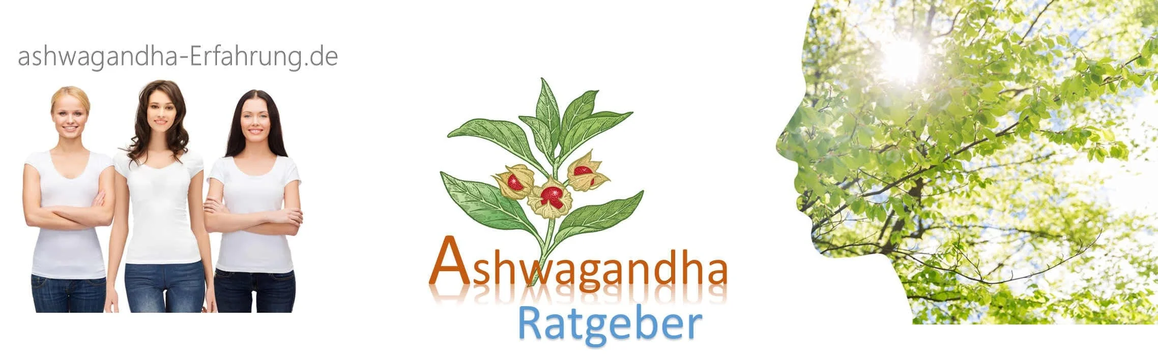 ashwagandha-banner-web